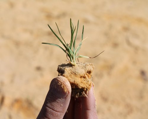 Detalle de manos relajadas