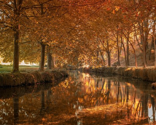 Coordinador de contenido